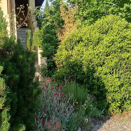 Wohnen Im Orientalischen Ambiente * Harthausen (Rhineland-Palatinate)