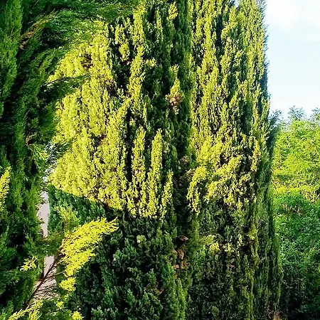 Wohnen Im Orientalischen Ambiente *