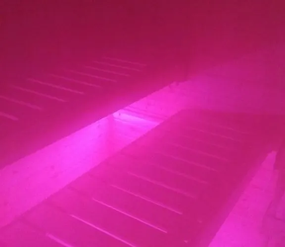 Wohnen Im Orientalischen Ambiente * Harthausen (Rhineland-Palatinate)