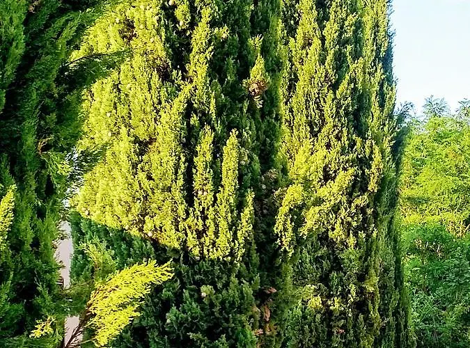 Wohnen Im Orientalischen Ambiente *